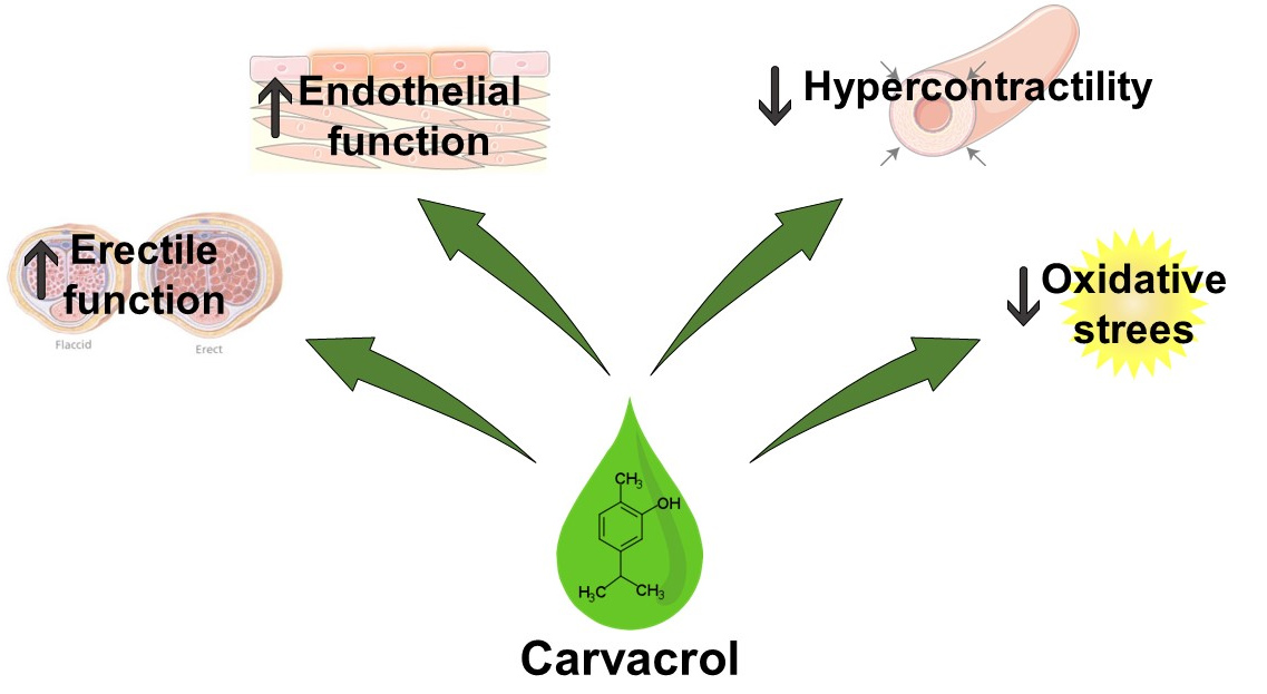 Graphical Abstract